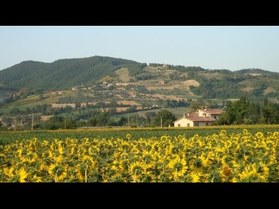 Bed and Breakfast Fontecese