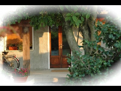 Bed and Breakfast La Magnolia Stellata