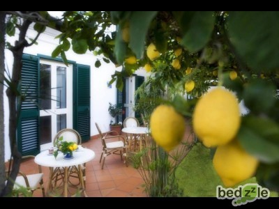 giardino con limoni