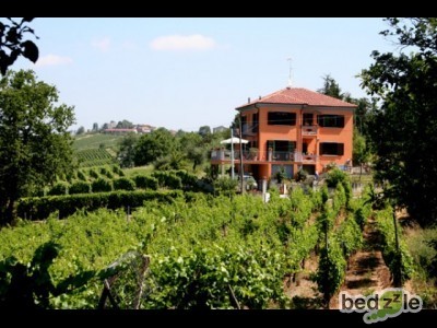 villa in mezzi ai vigneti