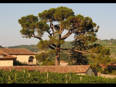 Alquiler habitaciones Tenuta Fagnanetto