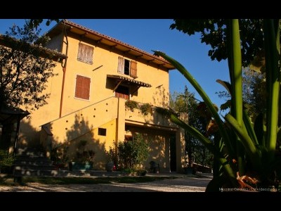 Farm holidays Agriturismo San Vito