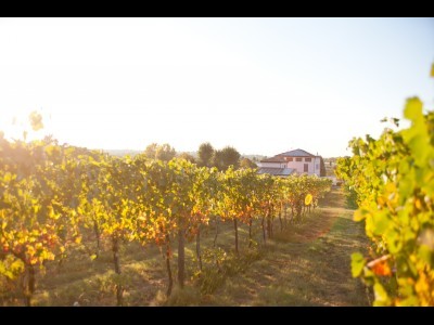 Fazenda Le Stanze di Bacco