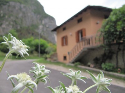 Bed and Breakfast Antico Borgo