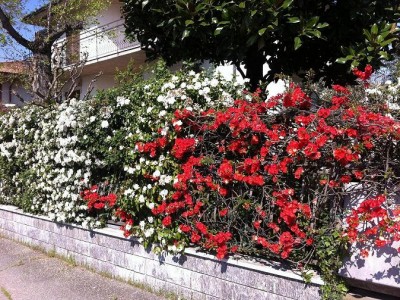 Bed and Breakfast La Magnolia Cesena