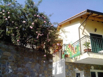 Bed and Breakfast L'Erba degli Abrighi