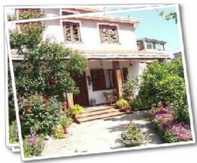 Bed and Breakfast B&B I Gerani