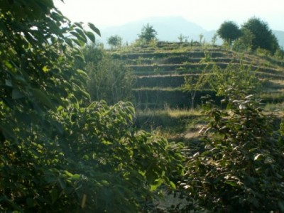 Farm holidays La Rocca della Rosa