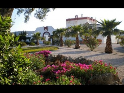 Bed and Breakfast Masseria Luce