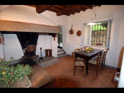Agriturismo Il Pezzatino