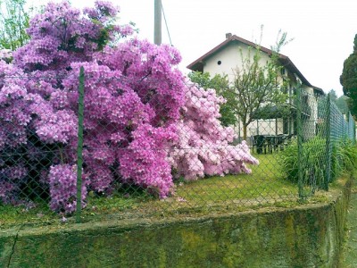 Bed and Breakfast Dei Laghi